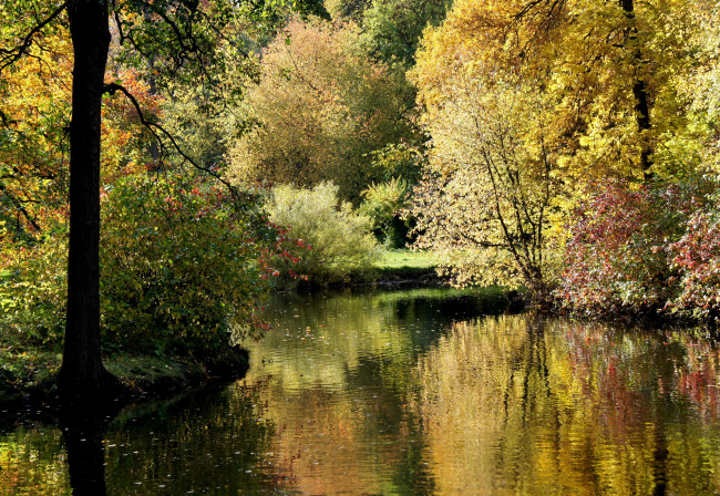Обои картинки фото санкт, петербург, парк, природа, реки, озера, река, деревья