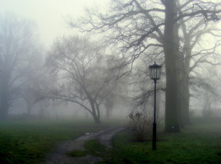 Картинка разное осветительные+приборы дорожка природа фонарь деревья туман трава