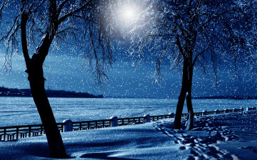 Картинка разное компьютерный+дизайн nature winter деревья природа снег зима night tree snow