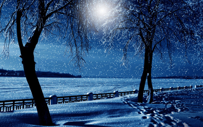 Обои картинки фото разное, компьютерный дизайн, nature, winter, деревья, природа, снег, зима, night, tree, snow