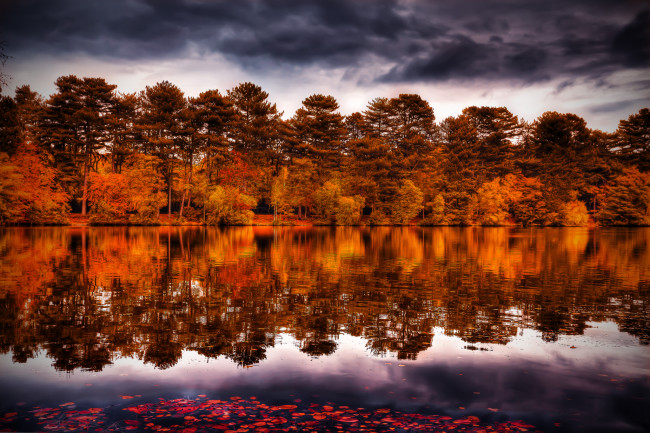 Обои картинки фото разное, компьютерный дизайн, осень, деревья, сосны, озеро, отражение