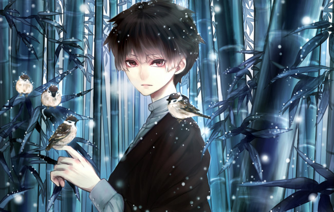 Обои картинки фото аниме, unknown,  другое, снег, птицы, бамбук, девушка