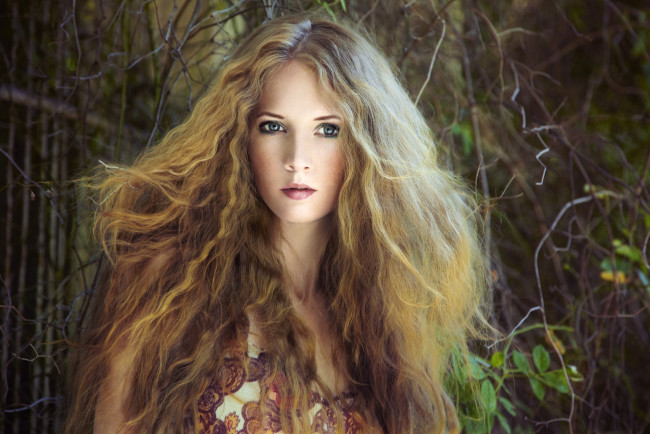 Обои картинки фото девушки, -unsort , рыжеволосые и другие, взгляд, локоны, блондинка, листья, ветки, девушка