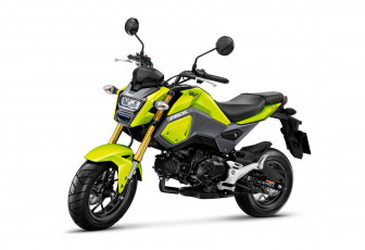 Картинка мотоциклы honda moto