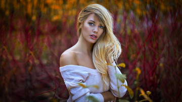 Картинка девушки -unsort+ блондинки +светловолосые модель блондинка женщина портрет