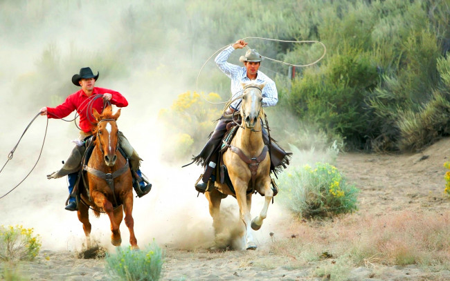 Обои картинки фото мужчины, - unsort, ковбой, шляпа, лассо, лошадь