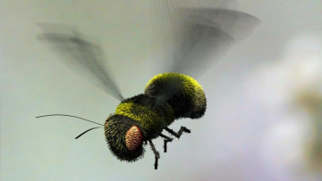 Картинка 3д+графика животные+ animals шмель насекомое