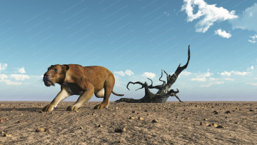 Картинка 3д+графика animals+ животные львица