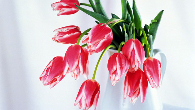 Обои картинки фото цветы, тюльпаны, букет, кувшин