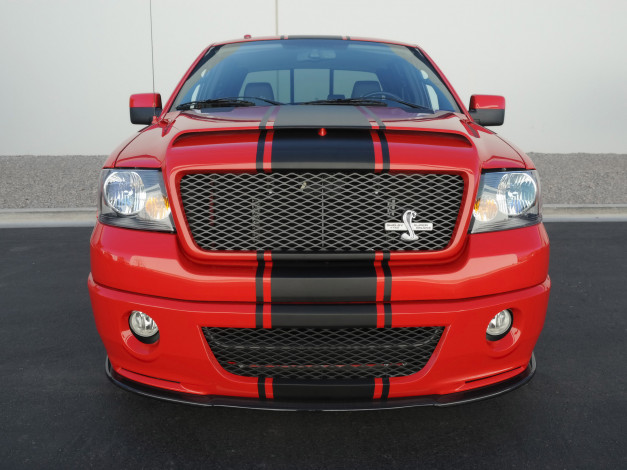 Обои картинки фото shelby f-150 super snake concept 2009, автомобили, ford, shelby, f-150, super, snake, concept, 2009