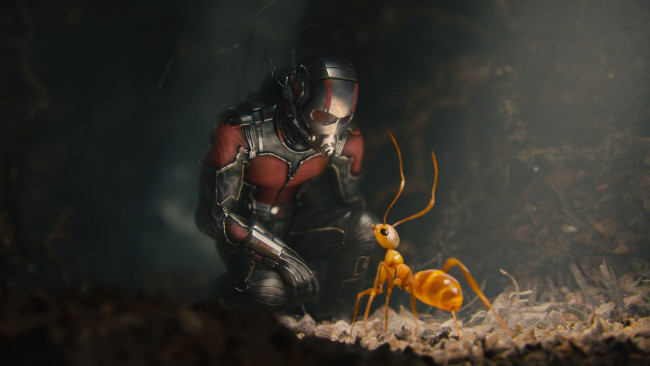 Обои картинки фото кино фильмы, ant-man, муравей, Человек-муравей, костюм, супергерой, комикс, шлем, марвел