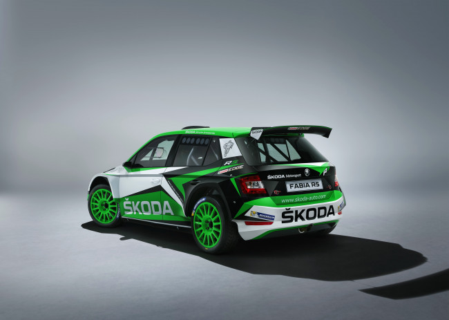 Обои картинки фото автомобили, skoda