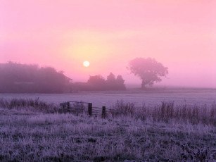 Картинка природа восходы закаты трава забор иней дом деревья