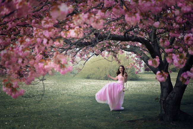 Обои картинки фото девушки, - брюнетки,  шатенки, весна, сад, цветущее, дерево, брюнетка, качели, розовое, платье