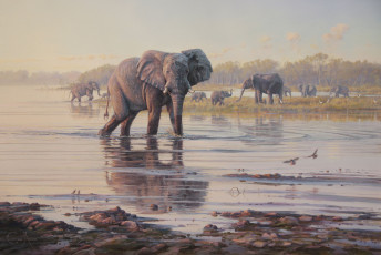 Картинка рисованные colin richens деревья река животные слоны водопой африка саванна птицы