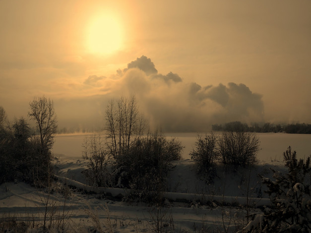 Обои картинки фото природа, зима, вечер, лес, снег, солнце