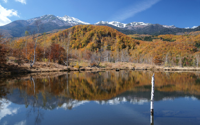 Обои картинки фото природа, реки, озера, осень, озеро, горы, деревья, ствол, холмы