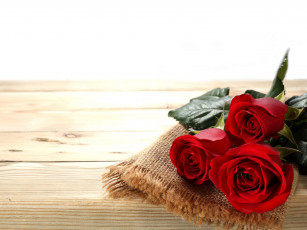 Картинка цветы розы бутоны салфетка