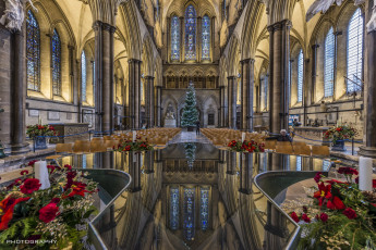 обоя cathedral reflections of christmas, интерьер, убранство,  роспись храма, рождество, ель, витражи, собор