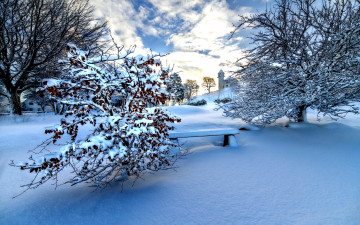 Картинка природа зима снег скамейка кусты
