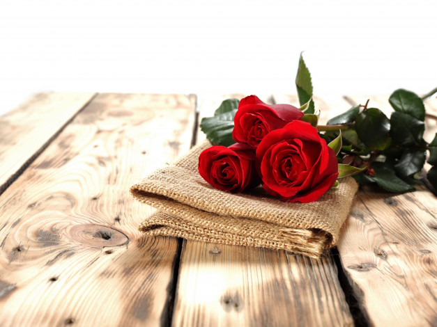 Обои картинки фото цветы, розы, бутоны, салфетка, доски