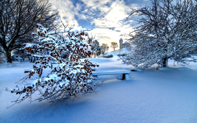 Обои картинки фото природа, зима, снег, скамейка, кусты