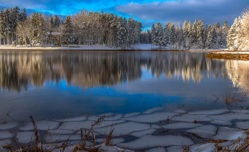 Картинка природа реки озера деревья река зима winter view snow trees river зимний пейзаж снег