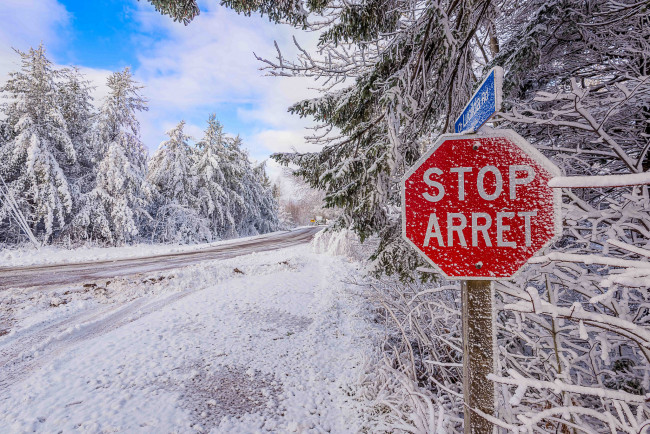 Обои картинки фото природа, зима, деревья, snow, road, снег, дорога, winter, trees