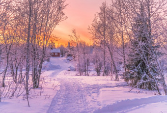 Картинка природа зима закат снег дорога деревья