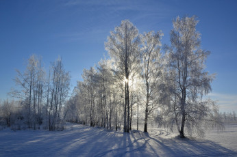 Картинка природа зима сугробы деревья снег пейзаж