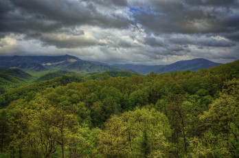 Картинка природа пейзажи great smoky mountains national park тучи деревья горы