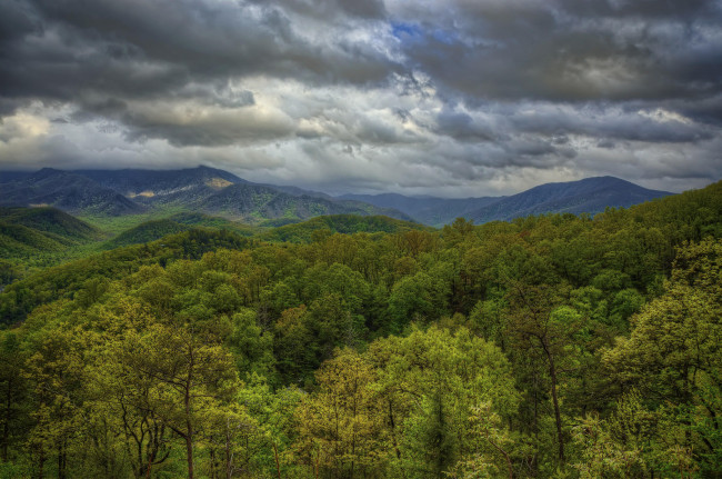 Обои картинки фото природа, пейзажи, great, smoky, mountains, national, park, тучи, деревья, горы