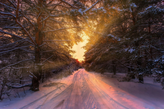 Обои картинки фото природа, дороги, зима, дорога, лес, закат