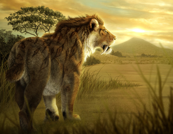 Обои картинки фото рисованное, животные,  львы, лев, фон, пустыня, гора, дерево