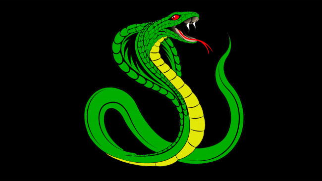 Обои картинки фото векторная графика, животные , animals, кобра, змея, зелёная, змей, чёрный, фон, рептилия, зубы, язык, яд