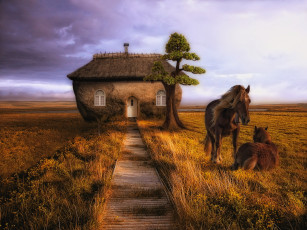 Картинка животные лошади дерево дом конь лошадь