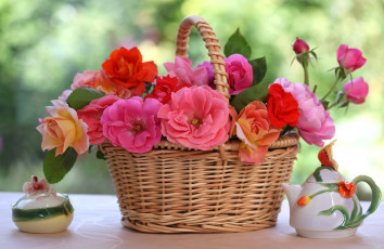 Картинка цветы розы посуда розовый корзина