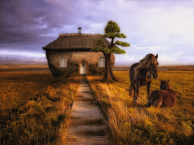 Обои картинки фото животные, лошади, дерево, дом, конь, лошадь