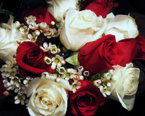 Картинка цветы букеты композиции бутоны розы