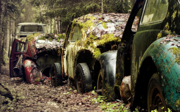 Картинка разное развалины руины металлолом старые автомобили ржавчина листья мох