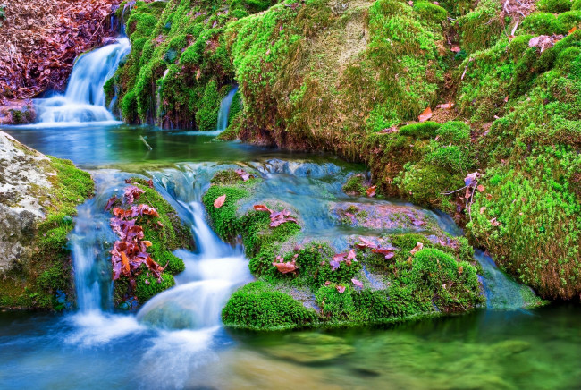 Обои картинки фото природа, реки, озера, речка, ручей, камни, мох, листья