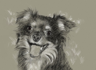 Картинка рисованные животные собака