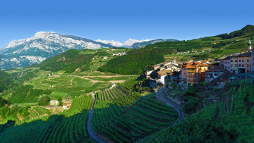 Картинка giovo +trentino +italy города -+панорамы джово италия поля виноградники горы пейзаж панорама