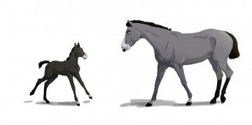 Картинка рисованное животные +лошади лошадка лошадь фон
