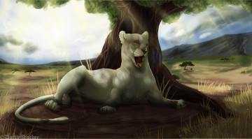 Картинка рисованное животные +львы сафари дерево лев