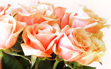 Картинка цветы розы оранжевые букет