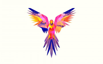 Картинка рисованное минимализм ара попугай яркость птица белый фон крылья