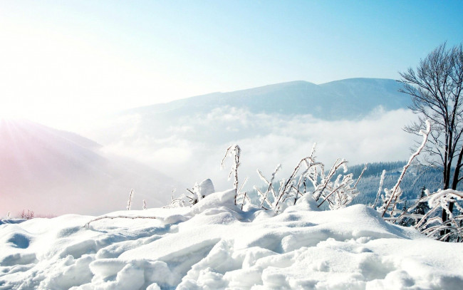 Обои картинки фото природа, зима, снег, туман, гора, ветки, дерево