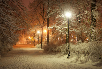Картинка природа парк алея снег ночь