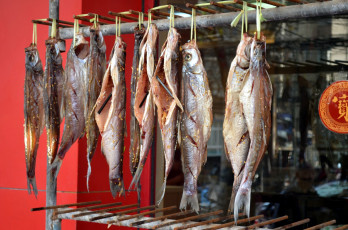 Картинка еда рыба +морепродукты +суши +роллы сушеная